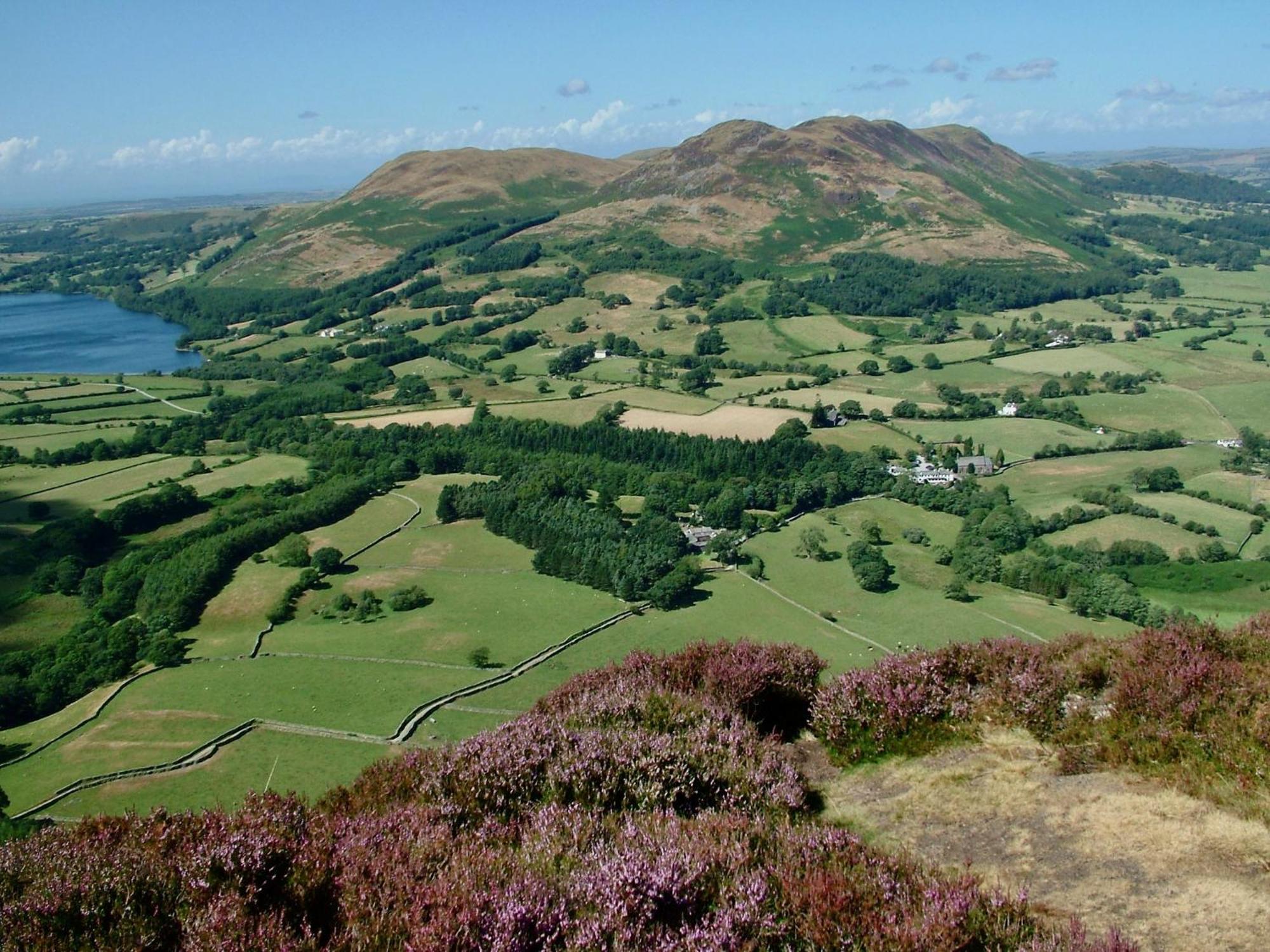 Damson Ghyll B&B Loweswater Eksteriør billede